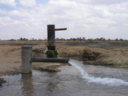 New evidence of the resilience of groundwater resources to global change