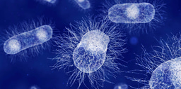 Top 100 in Microbiology | Scientific Reports