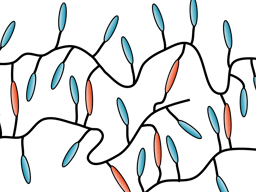 Finding an auxetic liquid crystal elastomer.