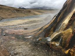 Isolation of selective microorganisms from hot spring microbial mats using co-culturing strategy: a perspective of microbial interaction