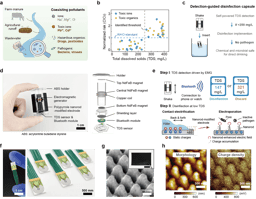 From Everyday Motion to Safer Water: A Self-Powered Floating Capsule for Water Detection and Disinfection