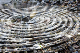 If you like throwing rocks in the water for no reason, you may find new ways to predict a bacterium’s antibiotic sensitivity

