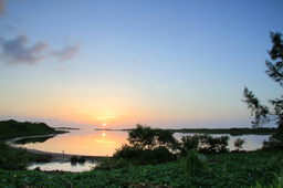 Beyond the Organic: A Decade Chasing Carbon in a Forgotten Lagoon