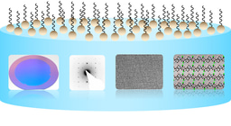 A Method to Achieve the Synthesis of 2D (Conducting) Polymer Single Crystals