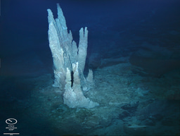 Iron sulfur clusters: the first metal cofactors?