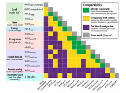 One Metric, Many Meanings: Why Water Use Efficiency Needs a Common Language