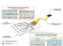 Innovative Hydrogel Adhesives for Seamless Integration of Soft Electronic Devices