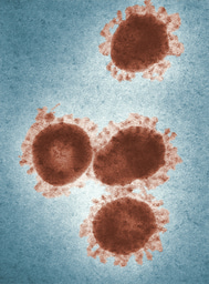 April 2026 Highlights from the Health & Clinical and Life Sciences Research Communities 