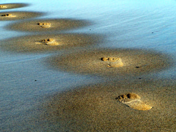 An Entrepreneur’s Journey 