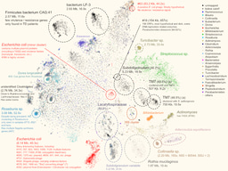 Capturing microbial dark matter by visualizing them