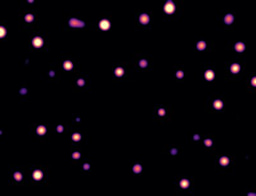 Mass photometry-a tool for detecting and quantifying nanoscale protein phase separation