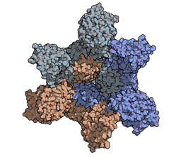 Making sense of the virome with functional viromics