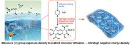 Designing Nanofiltration Membranes with Ultrahigh Negative-charge Density for Water Treatment