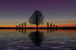 Teaching in evolution