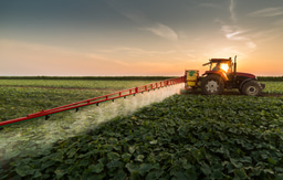 Beneath the mist: Pesticides harm beneficial soil organisms and key soil functions