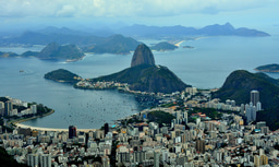 Wolbachia Moves in: How Does the Bacteria fare in Mosquitoes in Urban Environments?