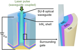 Toward vision beyond the human eye: A curvature-tunable neuromorphic bionic eye with ultradense waveguide-coupled pixels