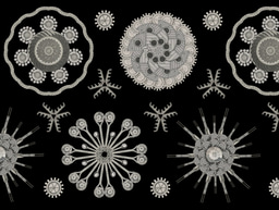 Engineering with evolution: sculpting the adaptive landscape