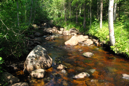 When boreal landscapes experience prolonged dry periods