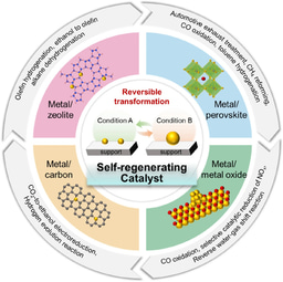 Self‑Regenerating Catalysts Redefine Durability in Industrial Catalysis