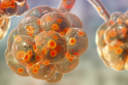 Call for papers: Organoid models for infectious diseases