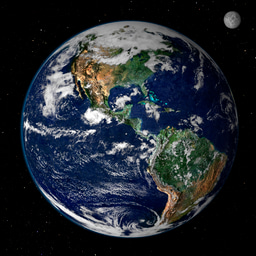 From the Global Village to Spaceship Earth