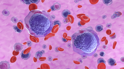 Continue exploring: Myeloid cell function and dysfunction