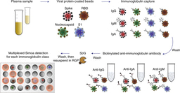 Ultrasensitive high-resolution profiling of early seroconversion in patients with COVID-19