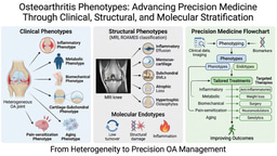 Beyond “Wear and Tear”: The Story Behind Our Paper on Osteoarthritis Phenotypes