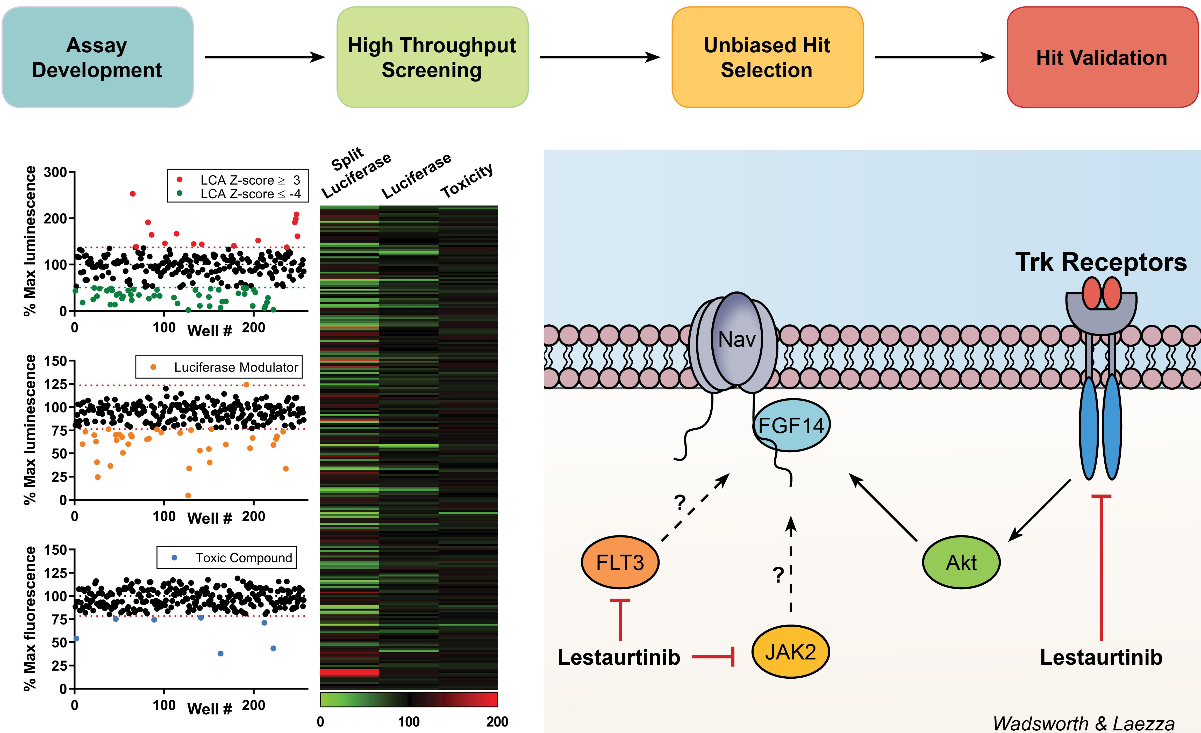 Identification of FDA-approved anti-cancer drugs that could be ...