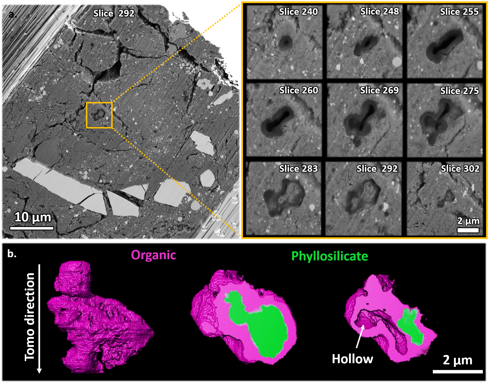 The evolution of organic material on Asteroid 162173 Ryugu and its ...