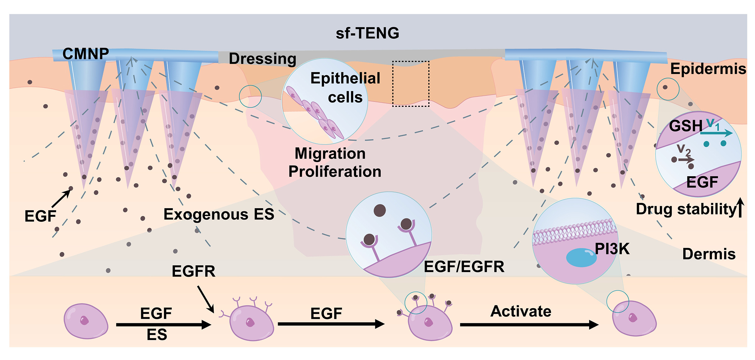 Self-powered electrical adjuvants: improved pharmacodynamics of ...