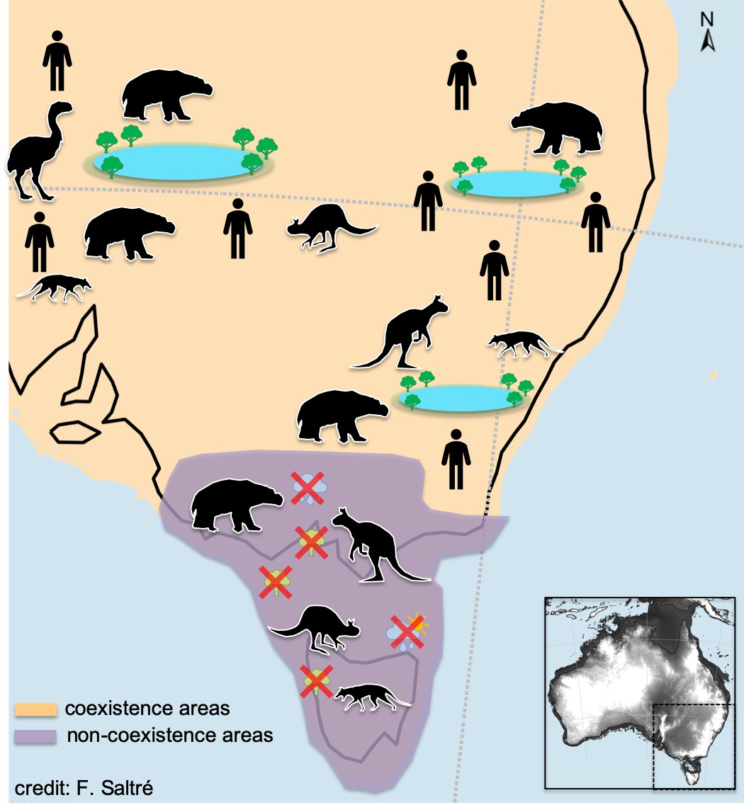Climate change and humans together pushed Australia’s biggest beasts to ...