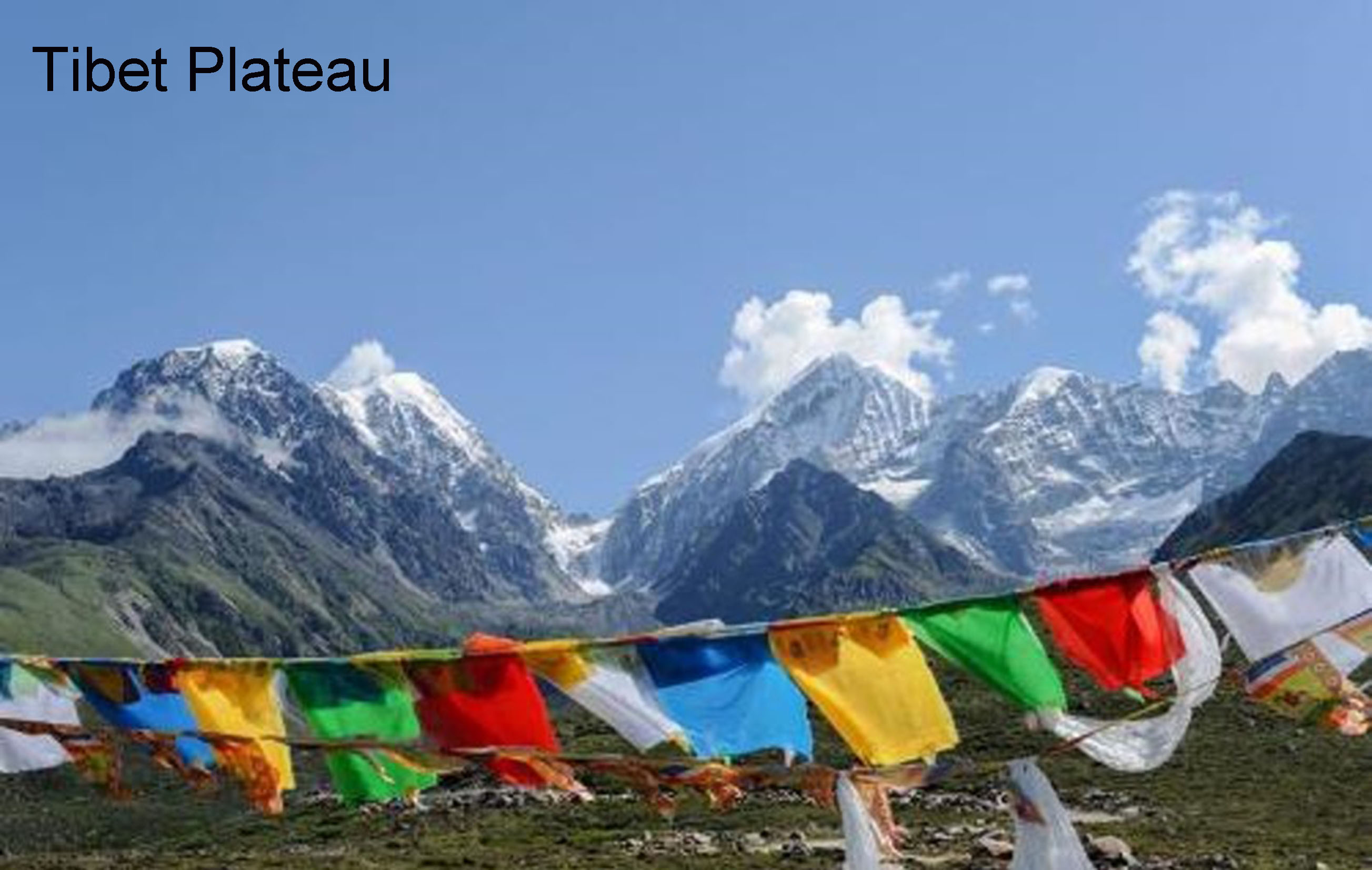Tibet plateau probiotic provides protection for heavy metals toxicity by the gut microbiota