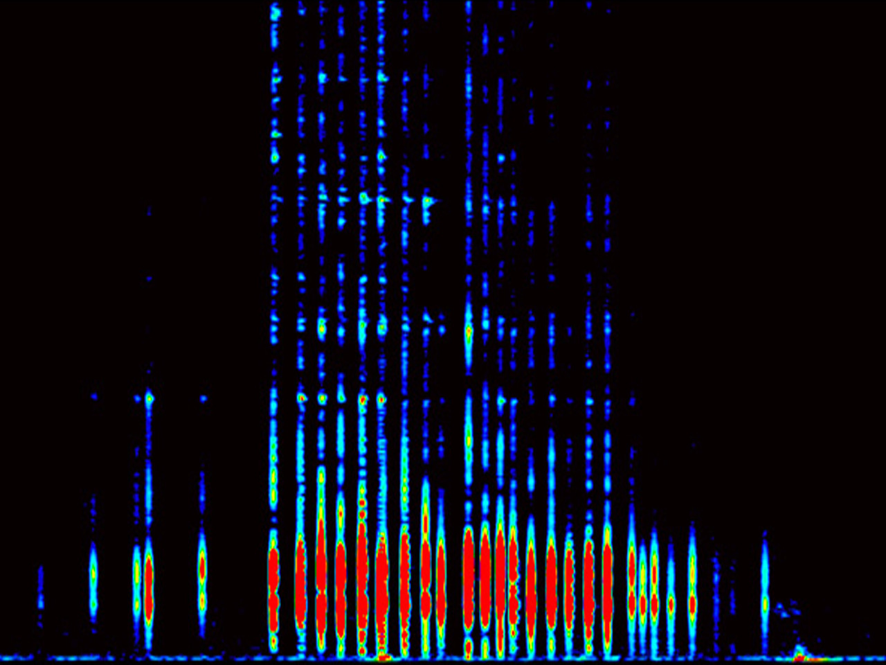 Blind but not mute: cavefish telling an evolution story!