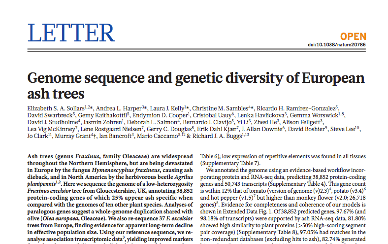​Ash tree genomics in response to ash dieback
