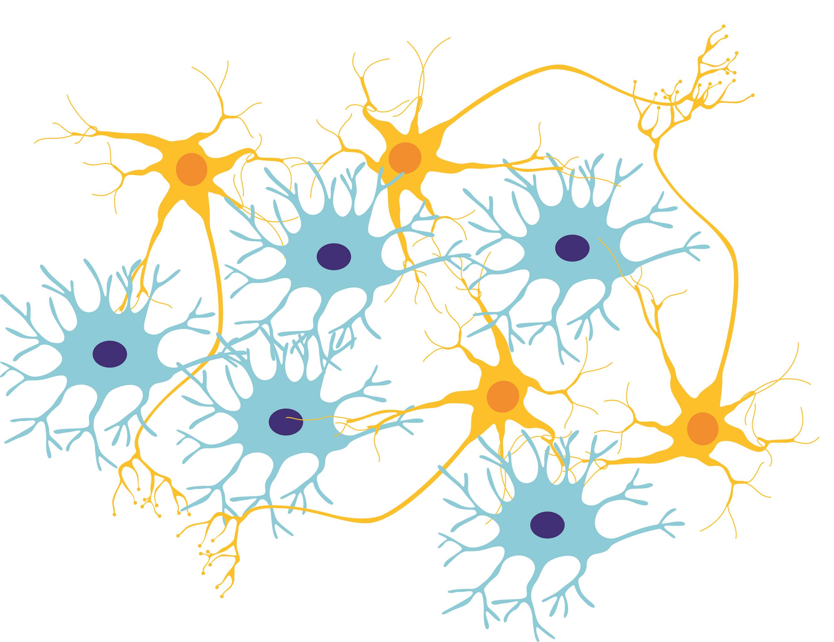 The domain of approximate: engineering neural tissues to model the brain