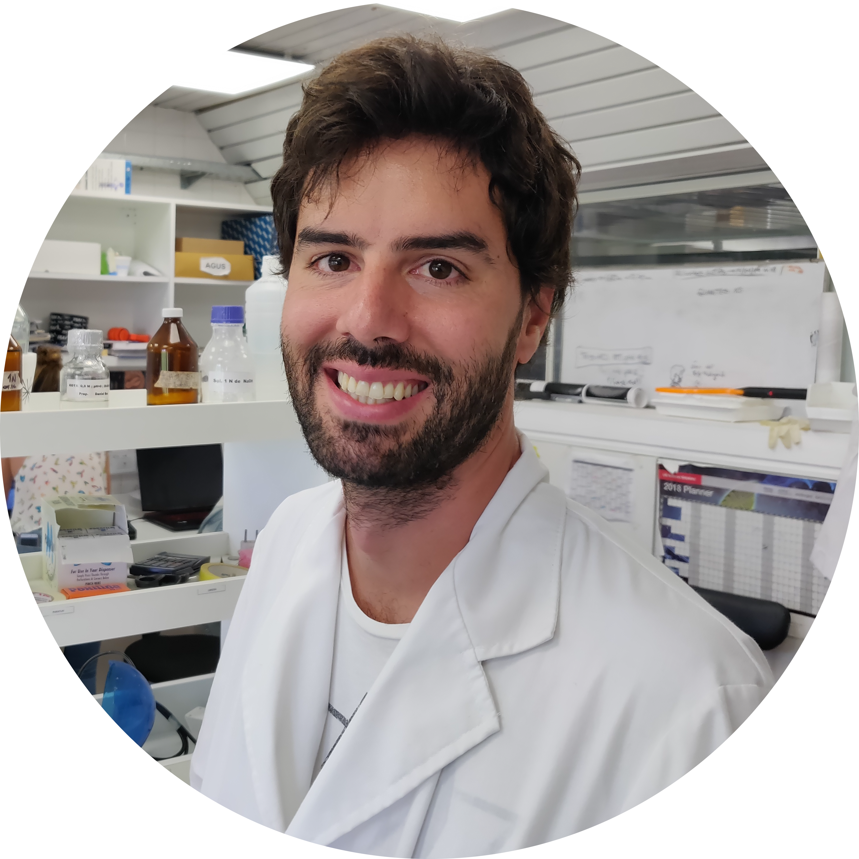 Go to the profile of Agustin Rolandelli