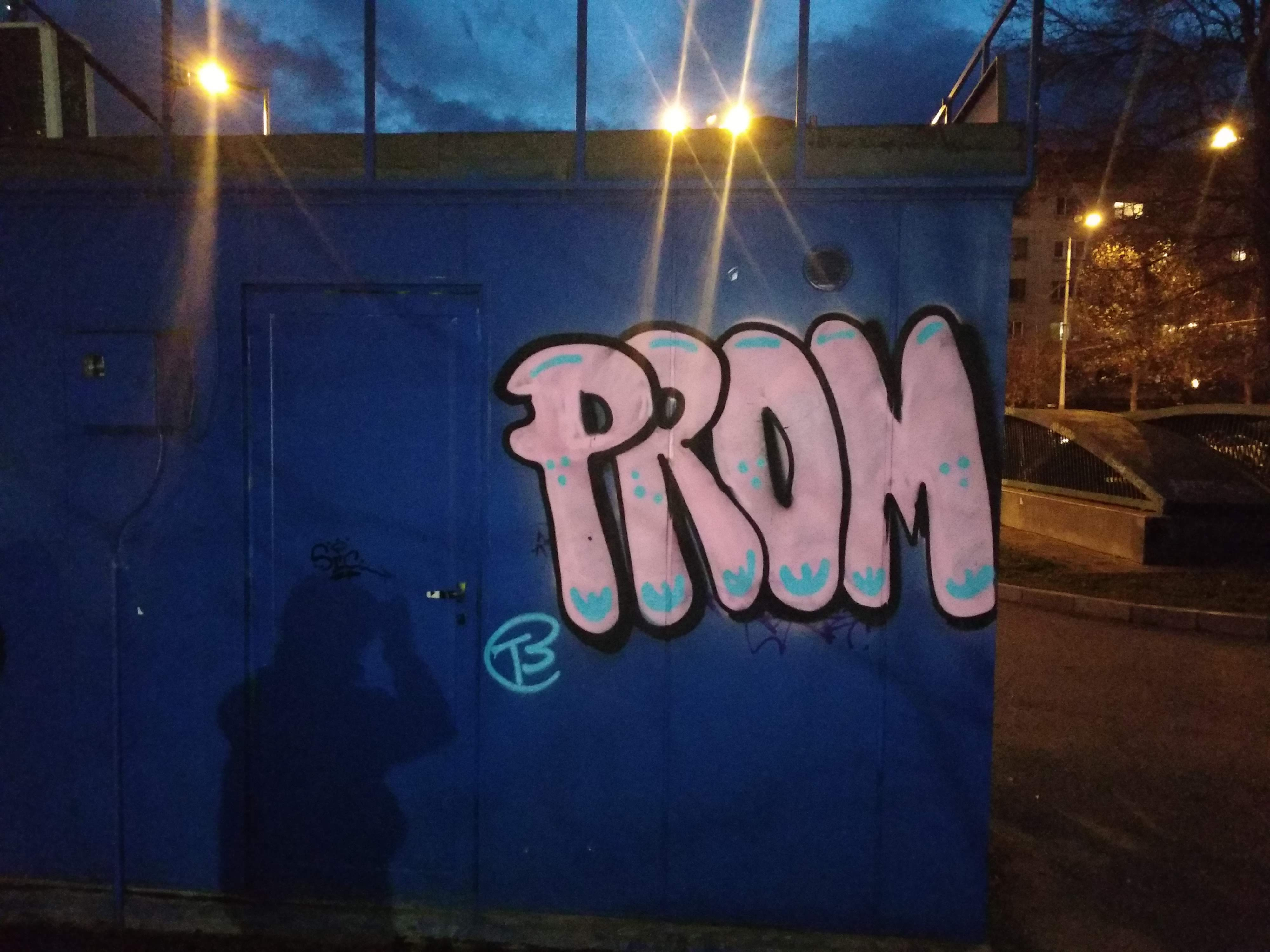 Contemporary Graffiti as a Tool for Studying Prehistoric Art - a Few Examples