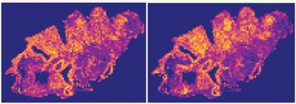 Seeing the Unseen: HistoTME's AI Vision Reveals Secrets of the Lung Cancer Tumor Microenvironment