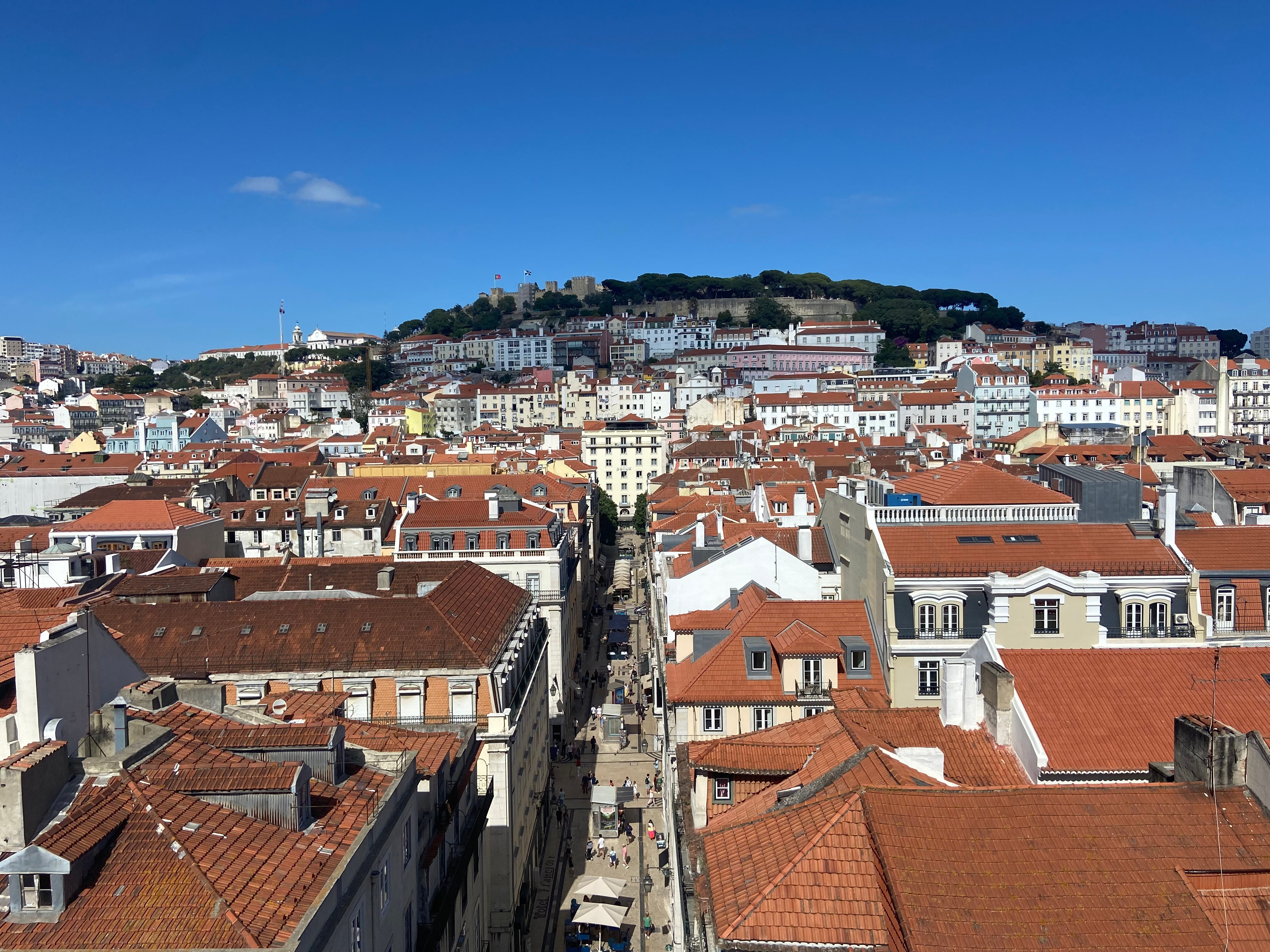 Catalysis for a sustainable world