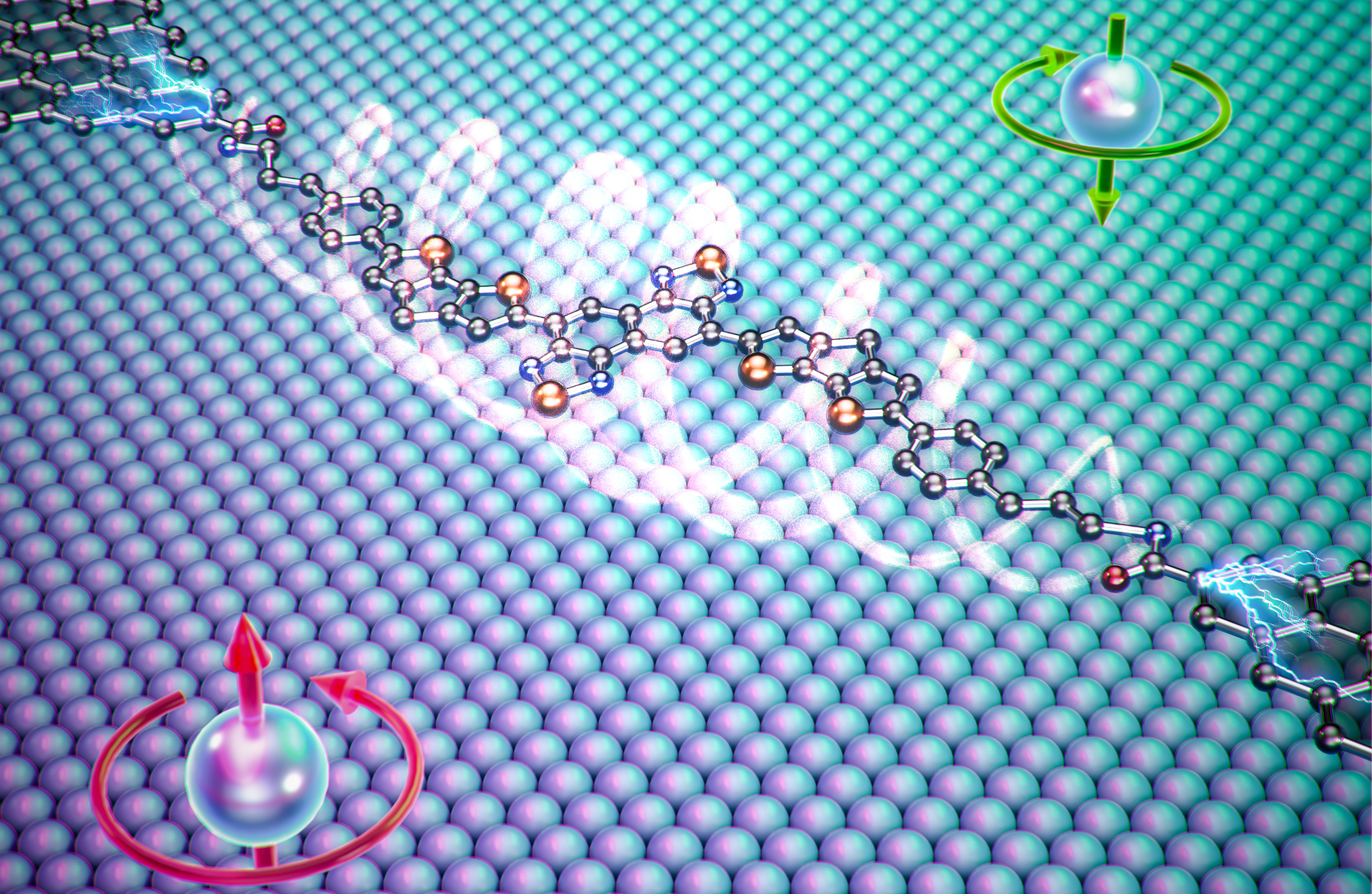 Regulation of quantum spin conversions in a single molecular radical