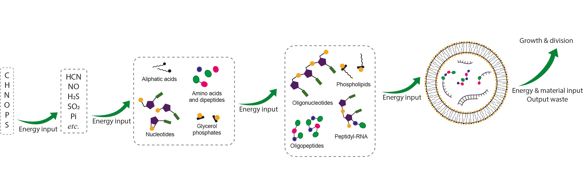 From prebiotic activation chemistry to mixed anhydrides to genetic coding...?