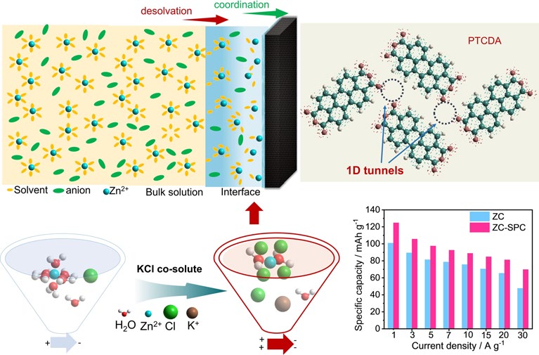 Dual‑Ion Co‑Storage via Solvation Structure Tuning Toward Ultrafast and Durable Zinc‑Organic Batteries