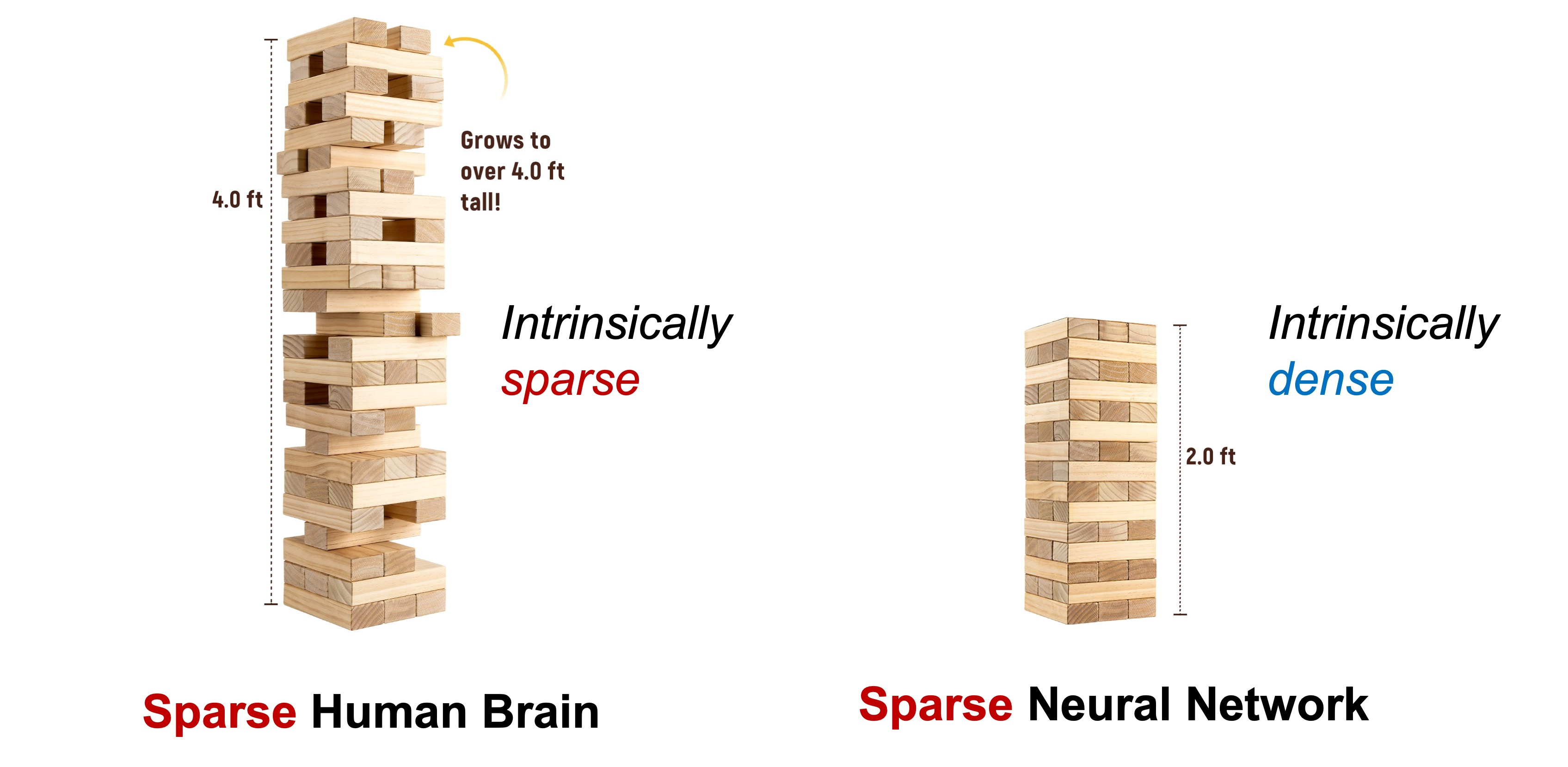 Rethink Sparsity from the bottom