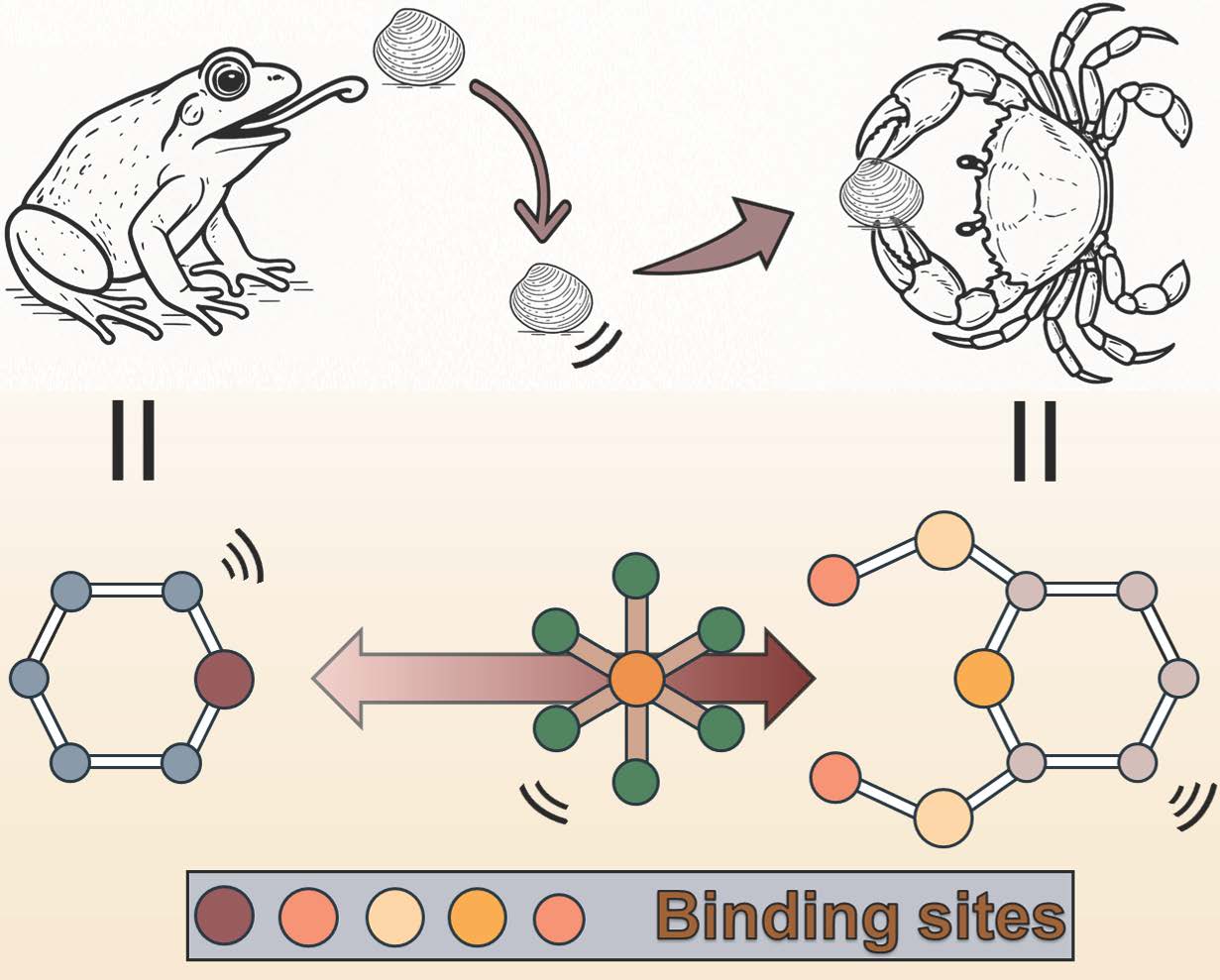 Turning stubborn rhodium into a catchable target