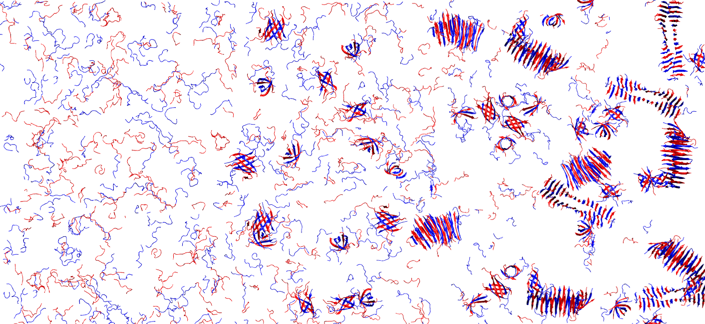 Charge guides pathway selection in β-sheet fibrillizing peptide co-assembly