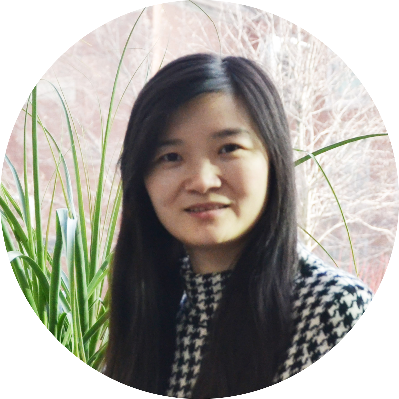 Go to the profile of Qiaomei Fu