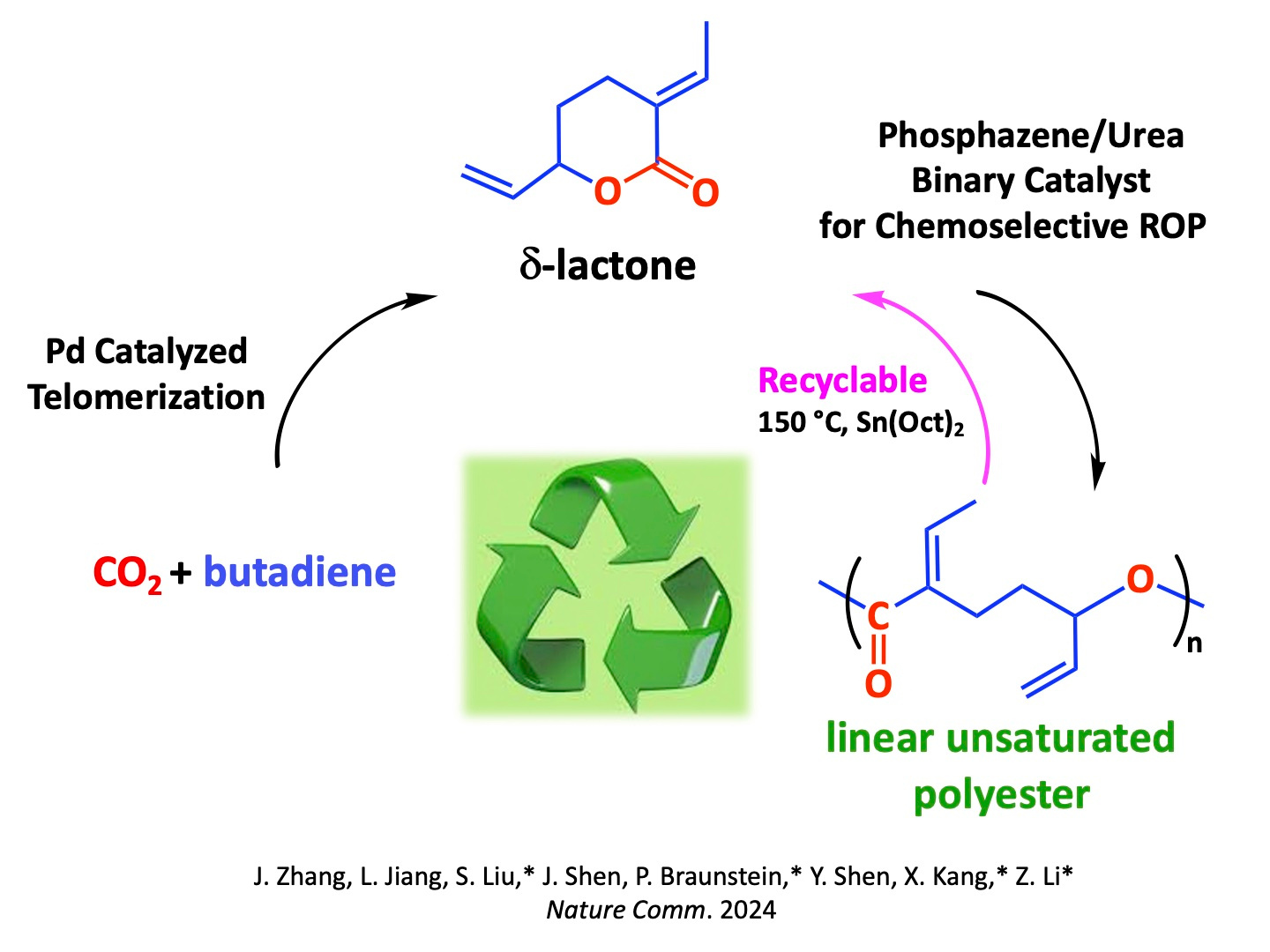 Bifunctional and Recyclable Polyesters by Chemoselective Ring-Opening Polymerization of a δ-Lactone Derived from CO2 and Butadiene