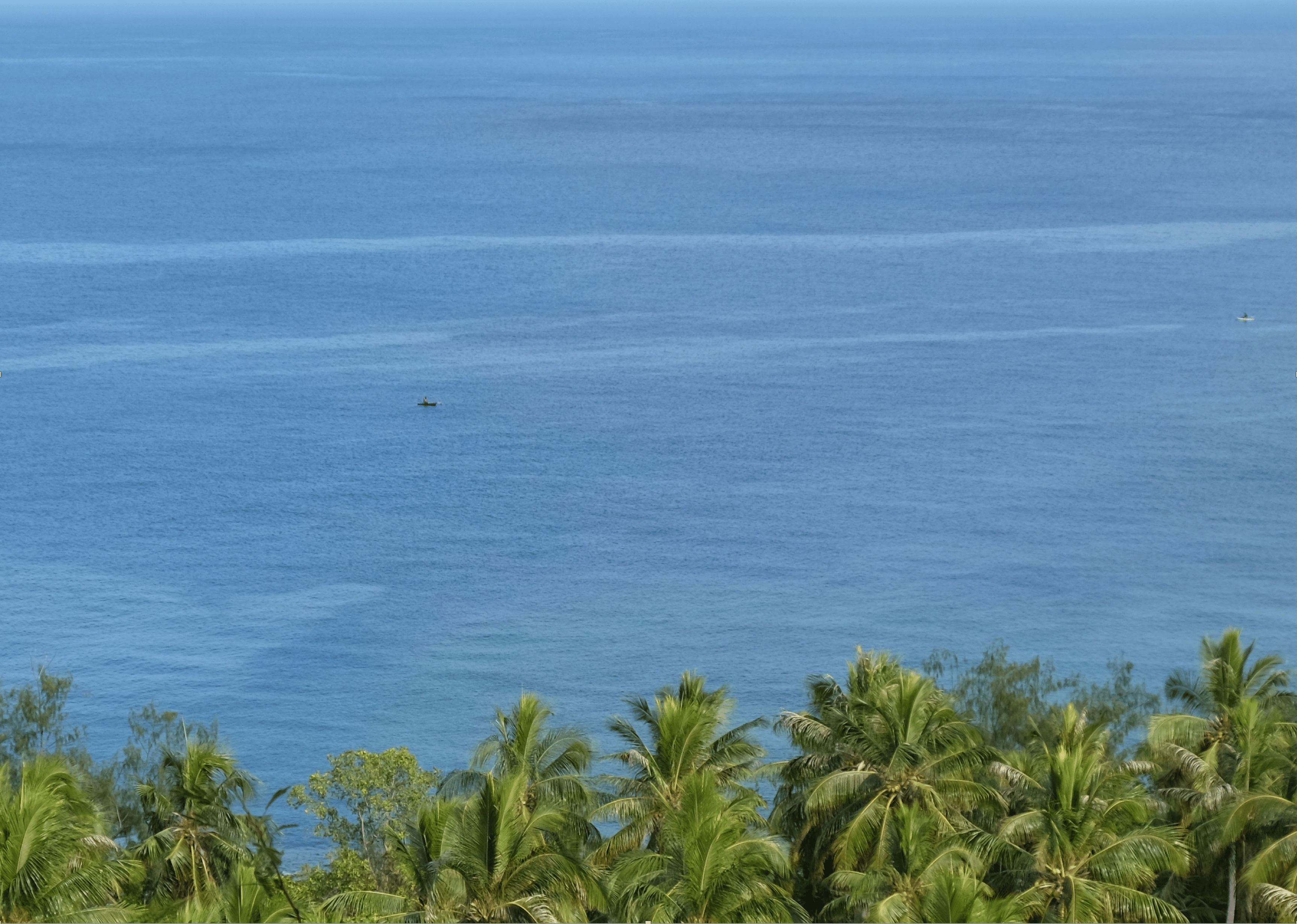 Language continuity despite a major population turnover in Vanuatu, Remote Oceania 